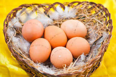 Similar image 240538