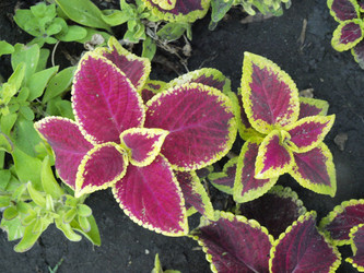 Similar image 240567