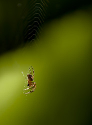 Similar image 240576