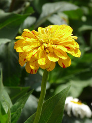 Similar image 240599