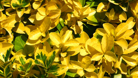 Similar image 240601