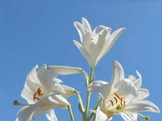 Similar image 240602