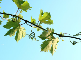 Similar image 240604