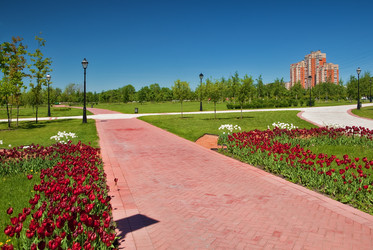 Similar image 240619