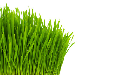 Similar image 240622