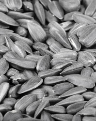 Similar image 240627