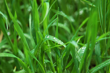 Similar image 240639