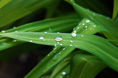 Similar image 240640