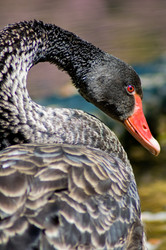 Similar image 240649