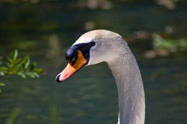 Similar image 240650