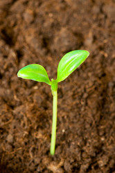 Similar image 240700