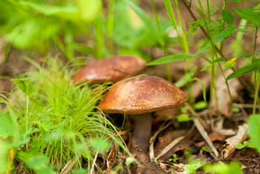 Similar image 240703