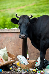 Similar image 240704