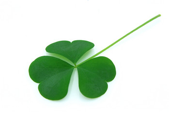 Similar image 240715