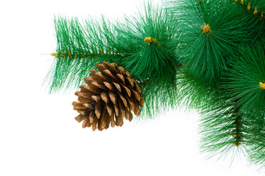 Similar image 240744