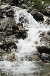 Similar image 240758