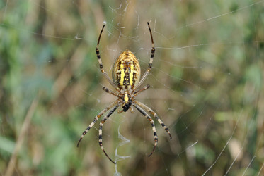 Similar image 240788