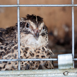 Similar image 240792