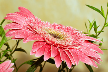 Similar image 240854