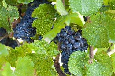 Similar image 240855