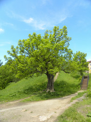 Similar image 240856