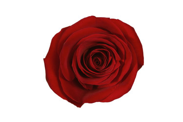 Similar image 240873