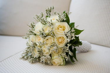 Similar image 240874