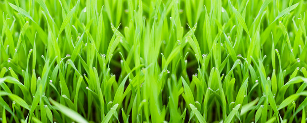 Similar image 240881