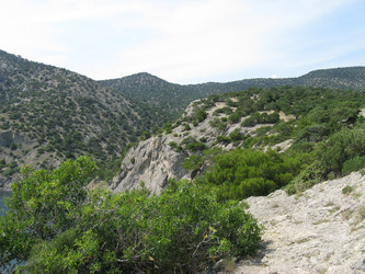 Similar image 240888