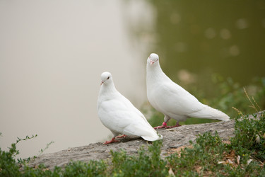 Similar image 240913