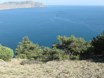 Similar image 240971