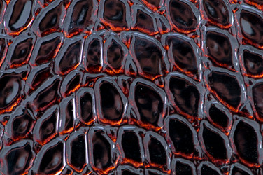 Similar image 240977