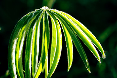 Similar image 240985