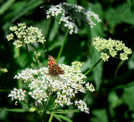 Similar image 240987