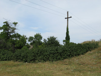 Similar image 240991