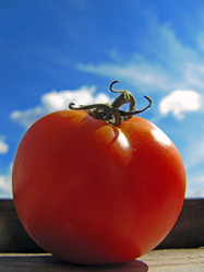 Similar image 241001