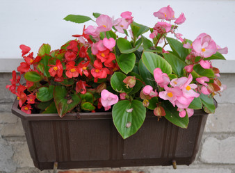 Similar image 241009