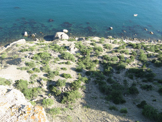 Similar image 241045