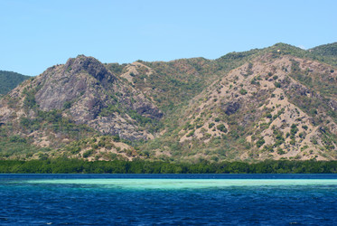 Similar image 241046