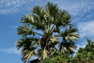 Similar image 241047