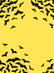 Similar image 241057