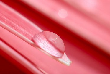 Similar image 241066