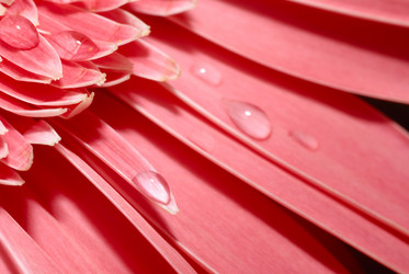 Similar image 241067