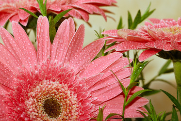 Similar image 241070