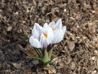 Similar image 241080