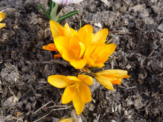 Similar image 241081