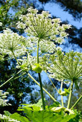 Similar image 241083