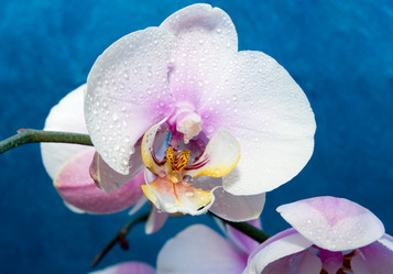 Similar image 241086