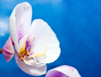 Similar image 241088