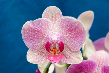 Similar image 241090